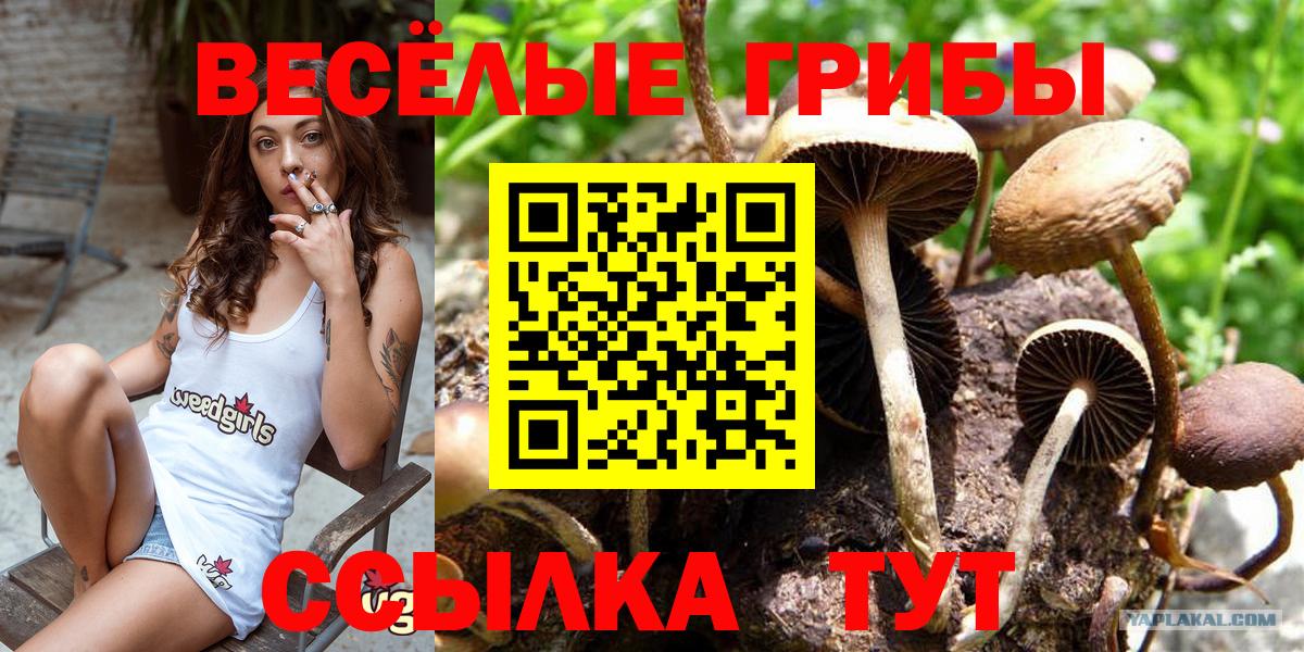 Псилоцибиновые грибы мухоморы Белгород
